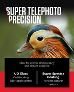 Canon RF 100-400mm F5.6-8 IS USM Telephoto Zoom Lens Black