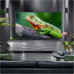 LG 75QNED80A6A 75-Inch 4K UHD Smart TV, (α7 AI Processor, Freeview Play and Amazon Alexa, 60Hz) [Model 2025]